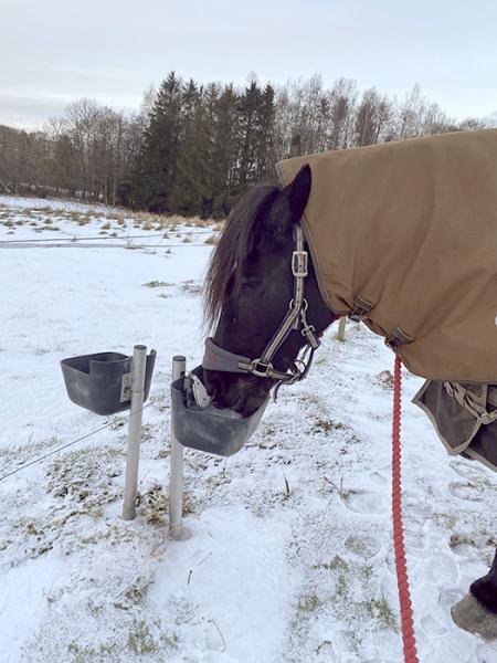 Frostfri drikkeautomat til køer og heste - 40 cm