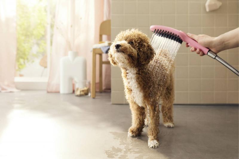 Hansgrohe dogshower hundebruser 150 3jet med massagedyser Sort